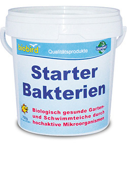 Starter-Bakterien