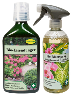 Bio Eisendünger & Blattspray