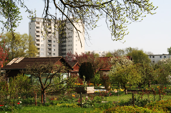 Kleingärten in der Nähe von Geschoss­woh­nun­gen