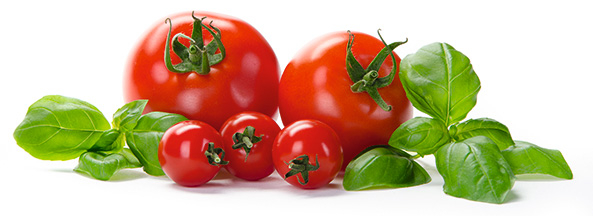Tomate/Basilikum