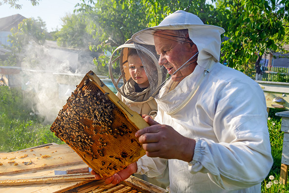 Bienenhaltung – ja, aber richtig