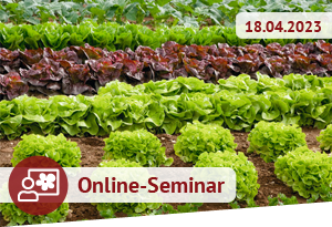 Online Seminar Salat anbauen