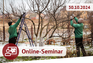 Online Seminar - Obstbäume im Winter schneiden