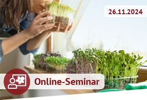 Online-Seminar am 26.11.2024