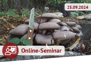 Online-Seminar am 25.09.2024