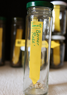 Saatgut selbst gewinnen  Saatgut selbst gewinnen