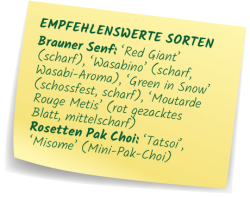 Empfehlenswerte Asia Salate Sorten