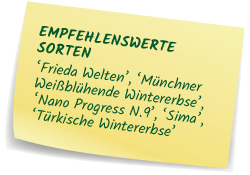 Empfehlenswerte Wintererbsen