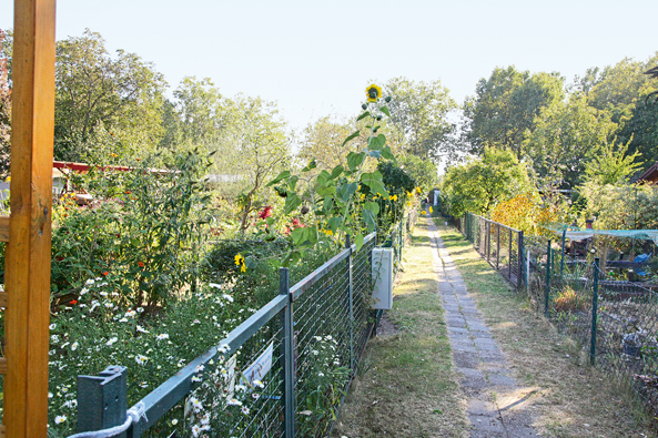 Anlage „Grüner Grund“