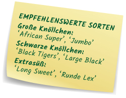 Empfehlenswerte Sorten