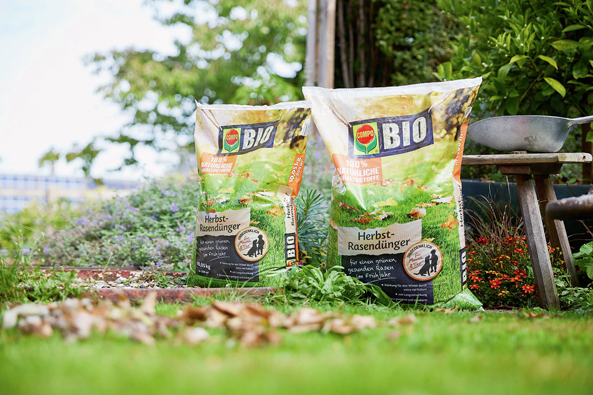 COMPO BIO Herbst-Rasendünger COMPO BIO Herbst-Rasendünger