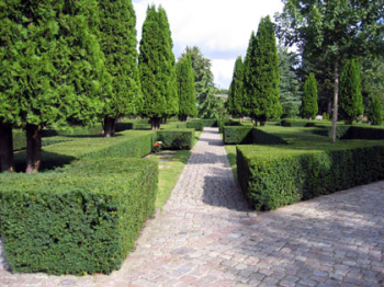 Flächenpflanzungen auf dem Friedhof