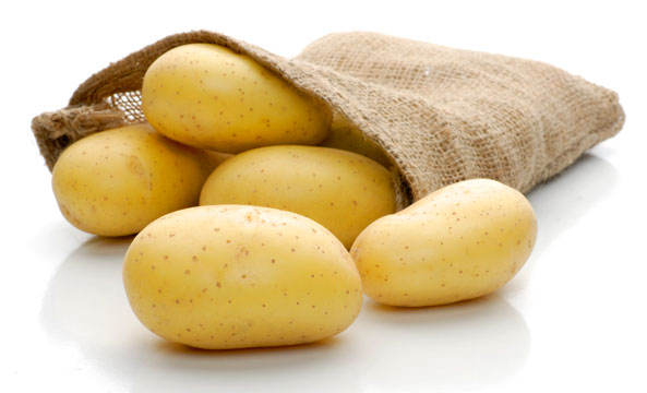 Kartoffelsorte ‘Campina’
