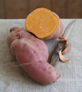 Süßkartoffel ‘Erato® Orange’