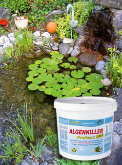 Weitz Wasserwelt - Algenkiller Protect