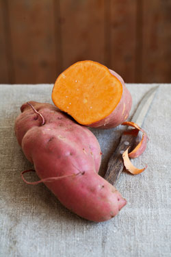 Die Süßkartoffel ‘Erato® Orange’