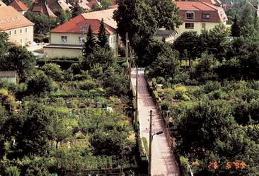 Kleingartenanlage in unmittelbarer Nachbarschaft zu einem Seniorenheim