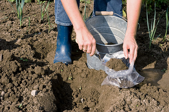 Pflanzenschutz - Bodenuntersuchung