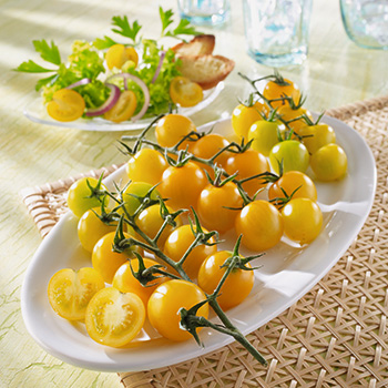 Cherry-Tomate ‘Summer Sun’