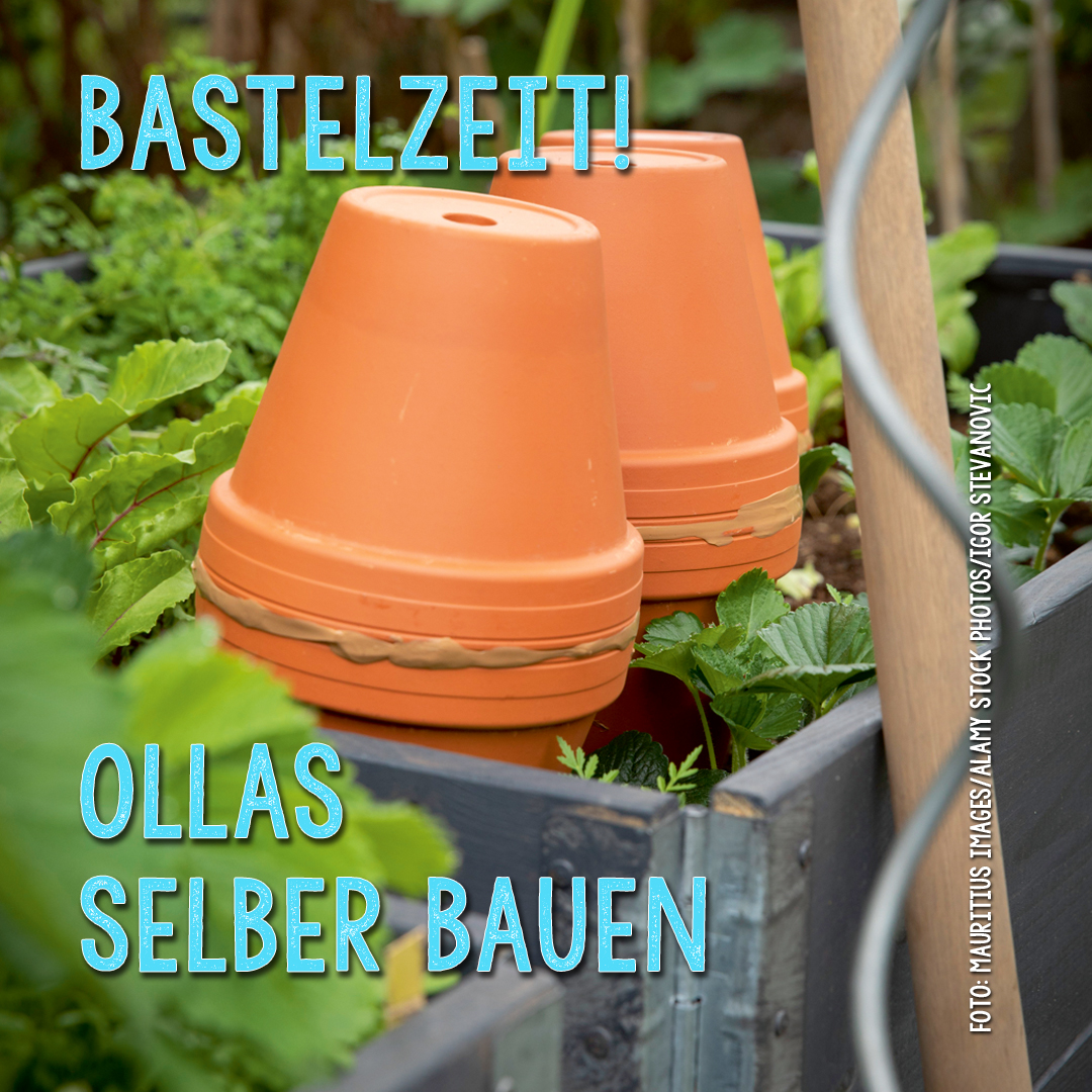 Ollas selber bauen