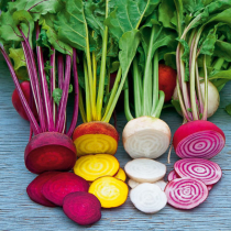 Buntes Gemüse: gesund und dekorativ