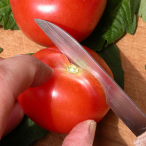 Tomaten richtig schneiden