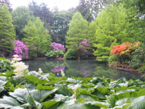 Rhododendron-Park und botanika Bremen