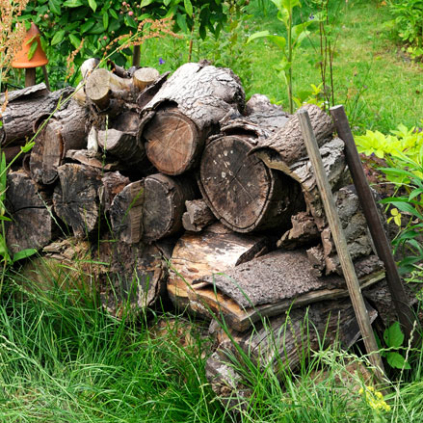 Naturnahes Gärtnern