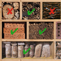 Nisthilfen für Wildbienen – Worauf achten?