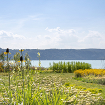Gartenschauen 2020 Gartenschauen 2020