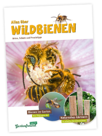 „Gartenfreund Spezial“: Wildbienen „Gartenfreund Spezial“: Wildbienen