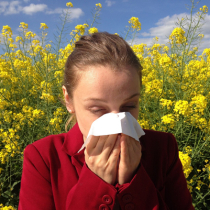 Pollenschutzgitter - nicht nur für Allergiker ideal