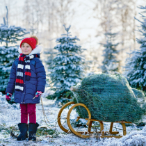 Weihnachtliches Stammkapital