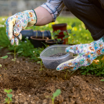 Gartenwissen: Versorgungsstufe