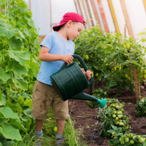Kleingartenwesen: Grundstoffe in Kleingärten Kleingartenwesen: Grundstoffe in Kleingärten