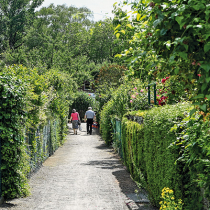 Wo steht DAS denn? Wo steht DAS denn?