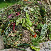 Kompost anlegen Kompost anlegen