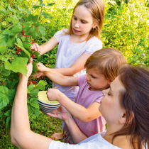 Kinder zum Blühen bringen Kinder zum Blühen bringen