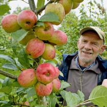 Neues Leben für altes Obst Neues Leben für altes Obst