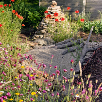 Nützlinge in den Garten locken Nützlinge in den Garten locken