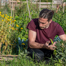 Wie funktioniert Permakultur? Wie funktioniert Permakultur?