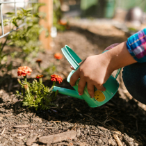 Naturnahe Gartenpflege: Nachhaltigkeit fördern Naturnahe Gartenpflege: Nachhaltigkeit fördern
