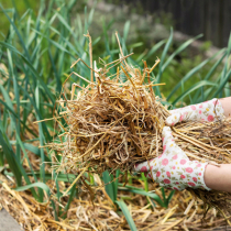 Gartentipp: Hochbeet winterfest machen Gartentipp: Hochbeet winterfest machen