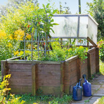 Von Hoch- bis Kraterbeet Von Hoch- bis Kraterbeet