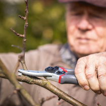 Schnitt mit Augenmaß Schnitt mit Augenmaß