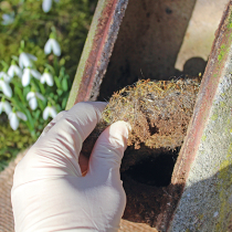Vogelnistkästen reinigen Vogelnistkästen reinigen
