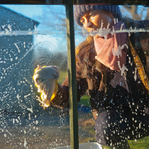 Mein Gartentipp: Für Licht sorgen Mein Gartentipp: Für Licht sorgen