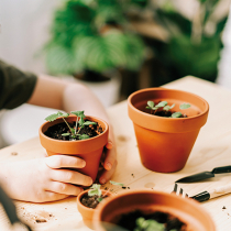 Zurück zum gärtnerischen Handwerk Zurück zum gärtnerischen Handwerk