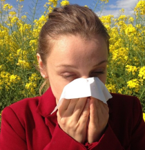 Allergiker: Die Zeit im Garten trotzdem genießen Allergiker: Die Zeit im Garten trotzdem genießen