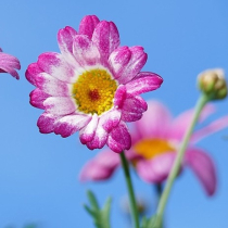 So sieht moderne Garten- und Terrassengestaltung aus So sieht moderne Garten- und Terrassengestaltung aus